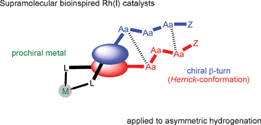 Graphical abstract: The application of “backdoor induction” in bioinspired asymmetric catalysis