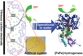 Graphical abstract: [FeFe]-hydrogenase-inspired membrane electrode and its catalytic evolution of hydrogen in water