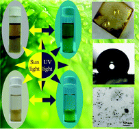 Graphical abstract: Rapid microwave synthesis of fluorescent hydrophobic carbon dots