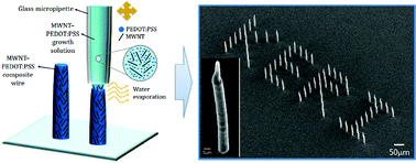 Graphical abstract: Carbon nanotube-conducting polymer composite wires formed by fountain pen growth (FPG) route