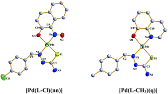 Graphical abstract: Mixed-ligand benzaldehyde thiosemicarbazone complexes of palladium containing N,O-donor ancillary ligands. Syntheses, structures, and catalytic application in C–C and C–N coupling reactions