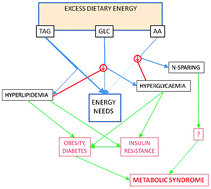 Graphical abstract: Adjustment to dietary energy availability: from starvation to overnutrition