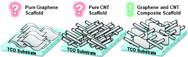 Graphical abstract: Graphene–carbon nanotube composite as an effective conducting scaffold to enhance the photoelectrochemical water oxidation activity of a hematite film