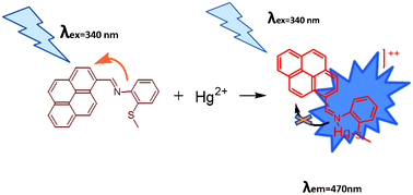 Graphical abstract: Development of a pyrene based “turn on” fluorescent chemosensor for Hg2+
