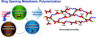Graphical abstract: Exploration of the versatility of ring opening metathesis polymerization: an approach for gaining access to low density polymeric aerogels