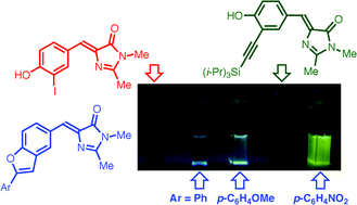 Graphical abstract: Highly fluorescent benzofuran derivatives of the GFP chromophore