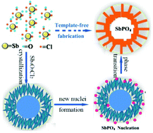 Graphical abstract: One-step synthesis of SbPO4 hollow spheres by a self-sacrificed template method
