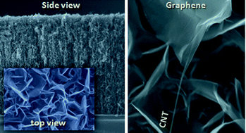Graphical abstract: Synthesis of chemically bonded CNT–graphene heterostructure arrays