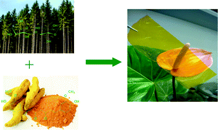Graphical abstract: Preparation and characterization of cellulose/curcumin composite films