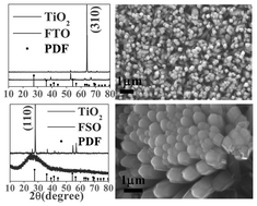 Graphical abstract: Surface chemistry and growth mechanism of highly oriented, single crystalline TiO2 nanorods on transparent conducting oxide coated glass substrates