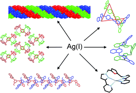 Graphical abstract: Coordination chemistry of Ag(i) with bridging ligands based on pyrazolyl–pyridine termini: polymers, helicates and a bow-tie