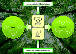 Graphical abstract: Catalytic conversion of biomass-derived carbohydrates into fuels and chemicals via furanic aldehydes