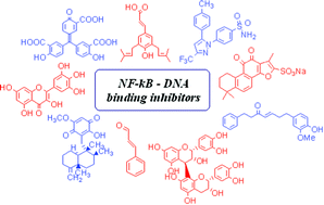 Graphical abstract: Inhibitors of transcription factor nuclear factor-kappa beta (NF-κβ)-DNA binding