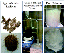Graphical abstract: Free-lignin cellulose obtained from agar industry residues using a continuous and minimal solvent reaction/extraction methodology