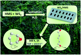 Graphical abstract: A novel green process for the synthesis of glutaraldehyde by WS2@HMS material with aqueous H2O2