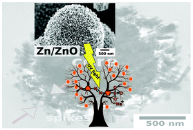 Graphical abstract: Sononanostructuring of zinc-based materials