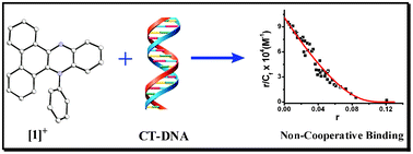 Graphical abstract: Synthesis, structure and DNA binding studies of 9-phenyldibenzo[a,c] phenazin-9-ium