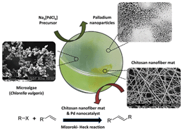 Graphical abstract: Biogenic production of palladium nanocrystals using microalgae and their immobilization on chitosan nanofibers for catalytic applications