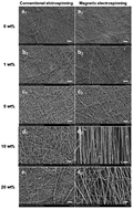 Graphical abstract: Synergic effect of magnetic nanoparticles on the electrospun aligned superparamagnetic nanofibers as a potential tissue engineering scaffold