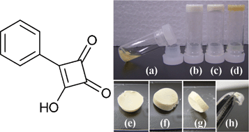 Graphical abstract: Hydrogel formed by a simple squaric acid derivative