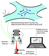 Graphical abstract: Simultaneous positioning and orientation of single nano-wires using flow control