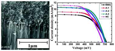 Graphical abstract: Improved performance of dye-sensitized solar cells with TiO2 nanocrystal/nanowires double-layered films as photoelectrode