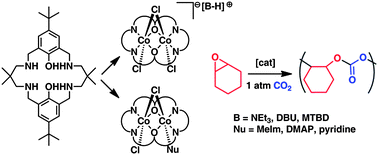 Graphical abstract: Di-cobalt(ii) catalysts for the copolymerisation of CO2 and cyclohexene oxide: support for a dinuclear mechanism?