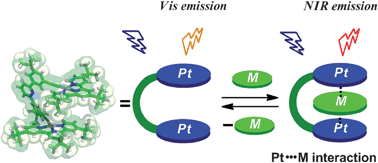 Graphical abstract: Phosphorescent molecular tweezers based on alkynylplatinum(ii) terpyridine system: turning on of NIR emission via heterologous Pt⋯M interactions (M = PtII, PdII, AuIII and AuI)