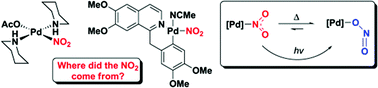 Graphical abstract: On the appearance of nitrite anion in [PdX(OAc)L2] and [Pd(X)(C^N)L] syntheses (X = OAc or NO2): photocrystallographic identification of metastable Pd(η1-ONO)(C^N)PPh3