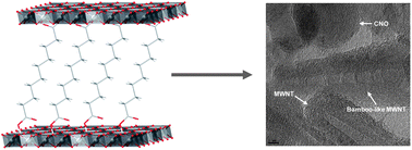 Graphical abstract: Layered double hydroxide (LDH)–organic hybrids as precursors for low-temperature chemical synthesis of carbon nanoforms