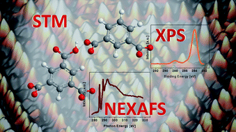 Graphical abstract: Structure of isophthalic acid based monolayers and its relation to the initial stages of growth of metal–organic coordination layers