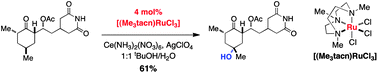 Graphical abstract: Catalytic C–H oxidation by a triazamacrocyclic ruthenium complex