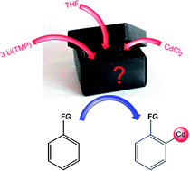 Graphical abstract: Opening the black box of mixed-metal TMP metallating reagents: direct cadmation or lithium–cadmium transmetallation?
