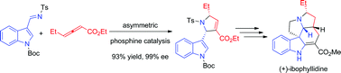 Graphical abstract: Enantioselective total synthesis of (+)-ibophyllidine via an asymmetric phosphine-catalyzed [3 + 2] annulation