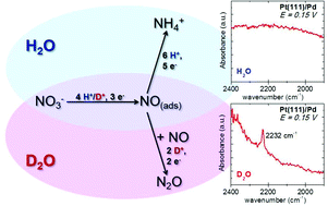 Graphical abstract: Mechanistic changes observed in heavy water for nitrate reduction reaction on palladium-modified Pt(hkl) electrodes