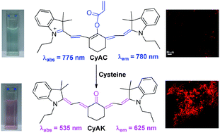 Graphical abstract: A highly selective ratiometric near-infrared fluorescent cyanine sensor for cysteine with remarkable shift and its application in bioimaging