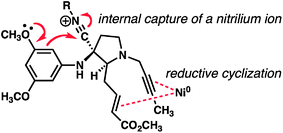 Graphical abstract: A chemical synthesis of 11-methoxy mitragynine pseudoindoxyl featuring the interrupted Ugi reaction