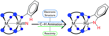 Graphical abstract: Electrophilic aryl C–H amination by dimetal nitrides: correlating electronic structure with reactivity