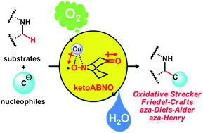 Graphical abstract: Catalytic aerobic production of imines en route to mild, green, and concise derivatizations of amines