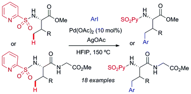 Graphical abstract: Palladium-catalyzed N-(2-pyridyl)sulfonyl-directed C(sp3)–H γ-arylation of amino acid derivatives