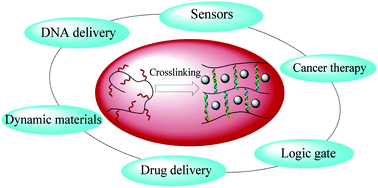 Graphical abstract: Engineering and applications of DNA-grafted polymer materials