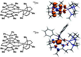 Graphical abstract: Access to formally Ni(i) states in a heterobimetallic NiZn system