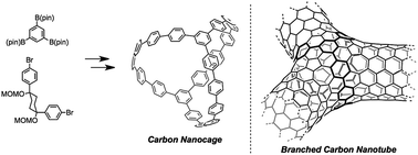 Graphical abstract: Synthesis and properties of all-benzene carbon nanocages: a junction unit of branched carbon nanotubes