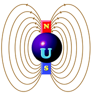 Graphical abstract: Modeling the properties of uranium-based single ion magnets