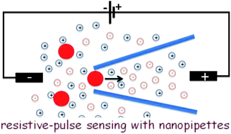 Graphical abstract: Resistive-pulse measurements with nanopipettes: detection of Au nanoparticles and nanoparticle-bound anti-peanut IgY
