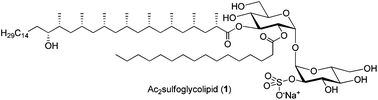 Graphical abstract: Total synthesis, stereochemical elucidation and biological evaluation of Ac2SGL; a 1,3-methyl branched sulfoglycolipid from Mycobacterium tuberculosis