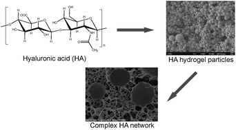 Graphical abstract: Hyaluronic acid-based hydrogels: from a natural polysaccharide to complex networks