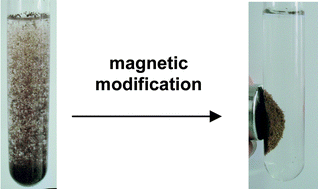 Graphical abstract: Potential of magnetically responsive (nano)biocomposites