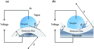 Graphical abstract: Electrowetting on curved surfaces