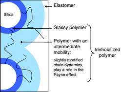 Graphical abstract: Solid particles in an elastomer matrix: impact of colloid dispersion and polymer mobility modification on the mechanical properties